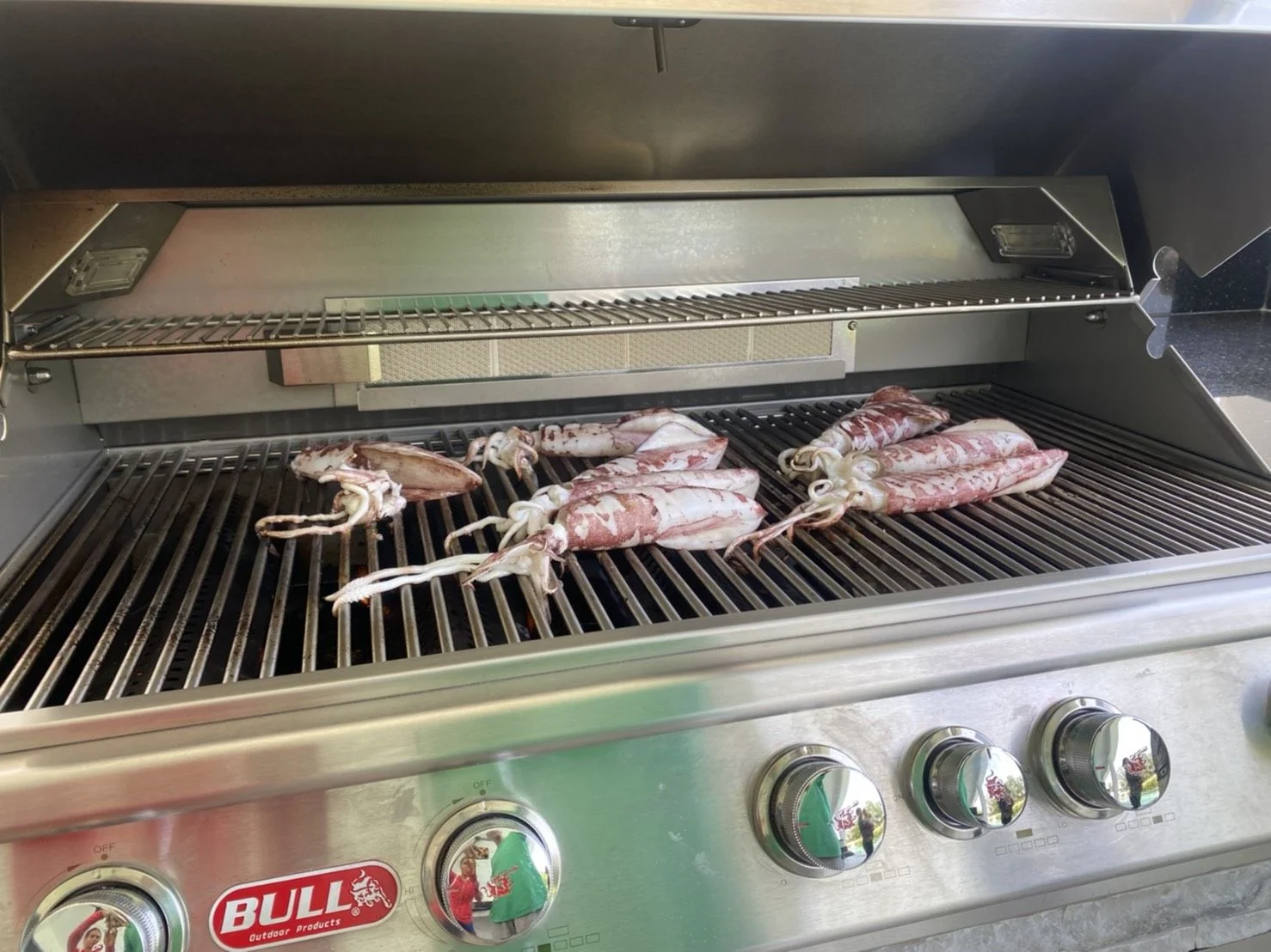 BULL Brahma BBQ Built-In