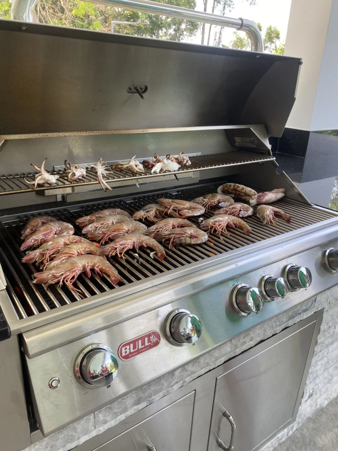 BULL Brahma BBQ Built-In